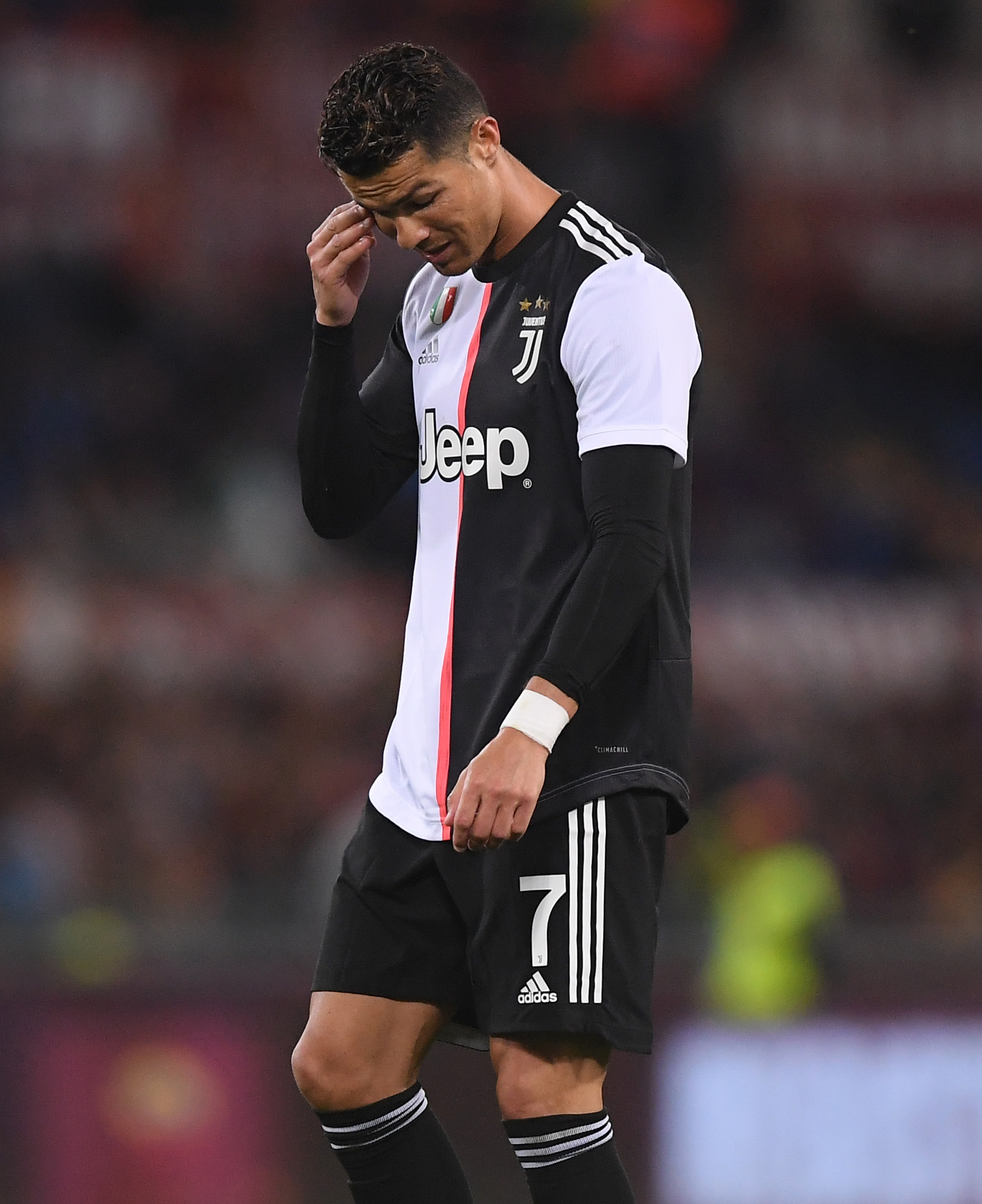 多样性报告发布